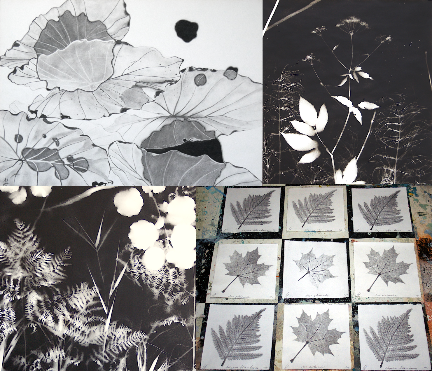 Collage of various black and white artworks by Laura Stötefeld, including charcoal drawing and print.